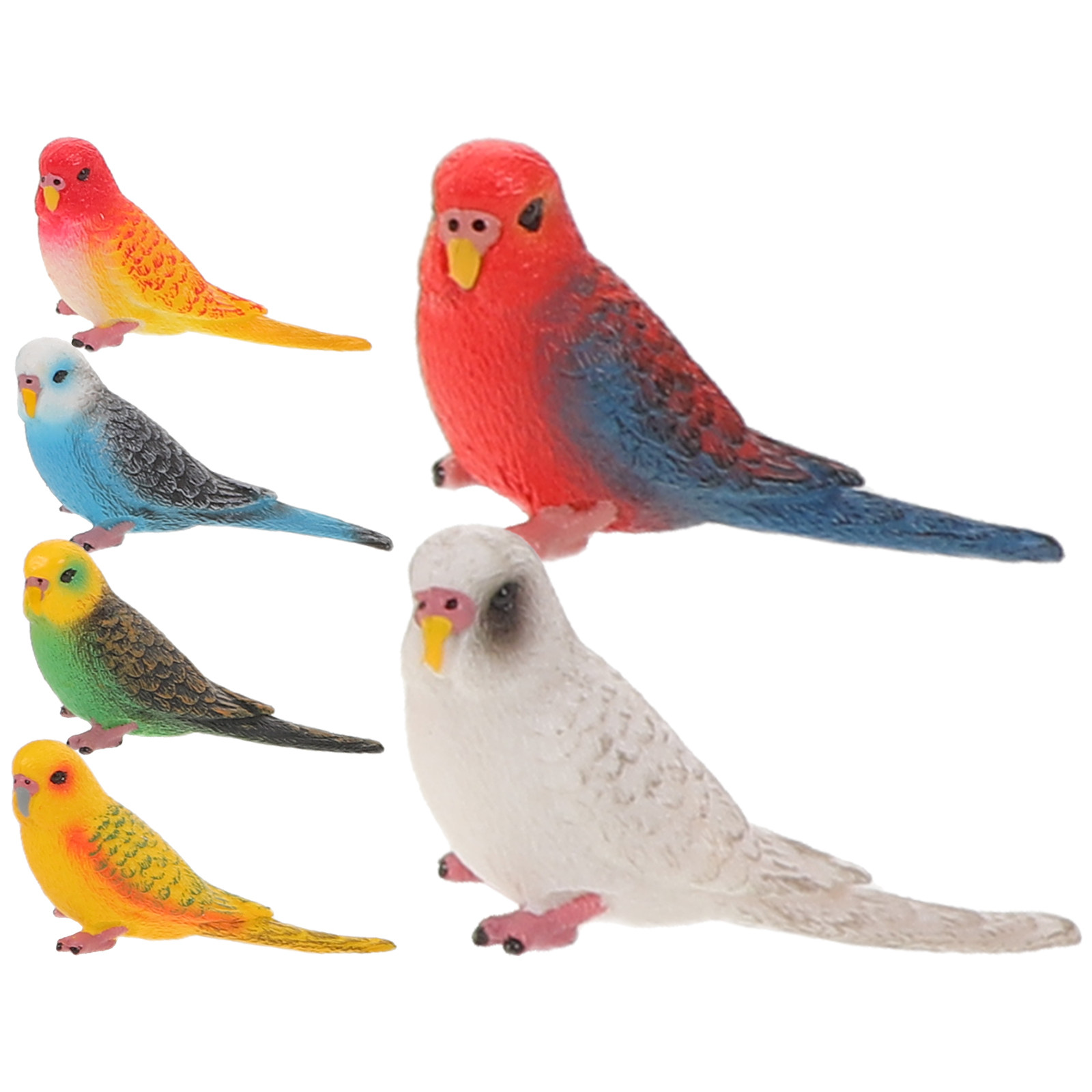 6Pcs Vibrant Realistic Parrot  - Kids Education Learning 评论和价格