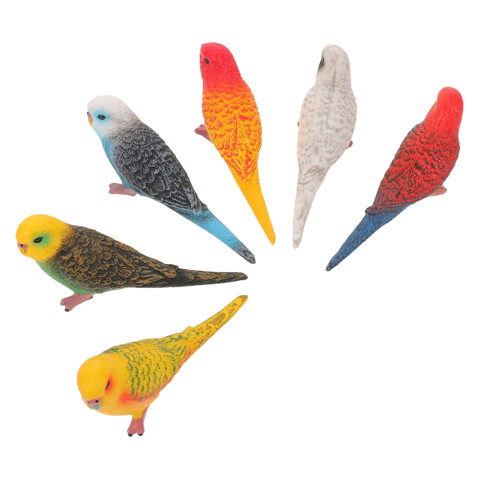 6Pcs Vibrant Realistic Parrot  - Kids Education Learning 评论和价格