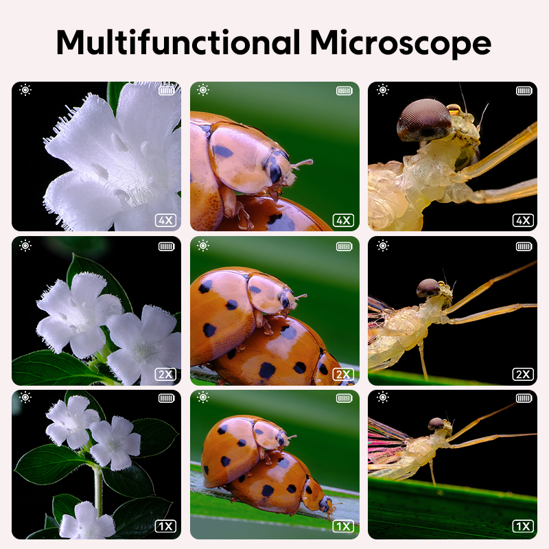 Mini Digital Microscope Portab - Education Kids Definition 评论和价格
