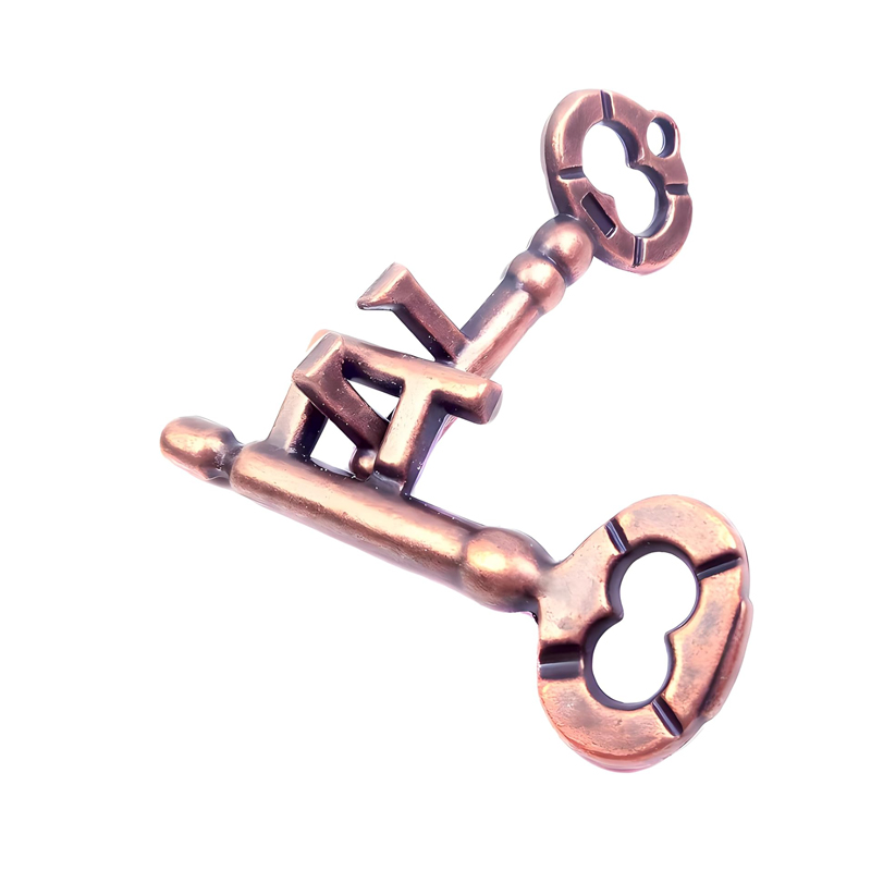 Classic Brain Teaser Key and L - Game Educational For Kids Free 评论和价格