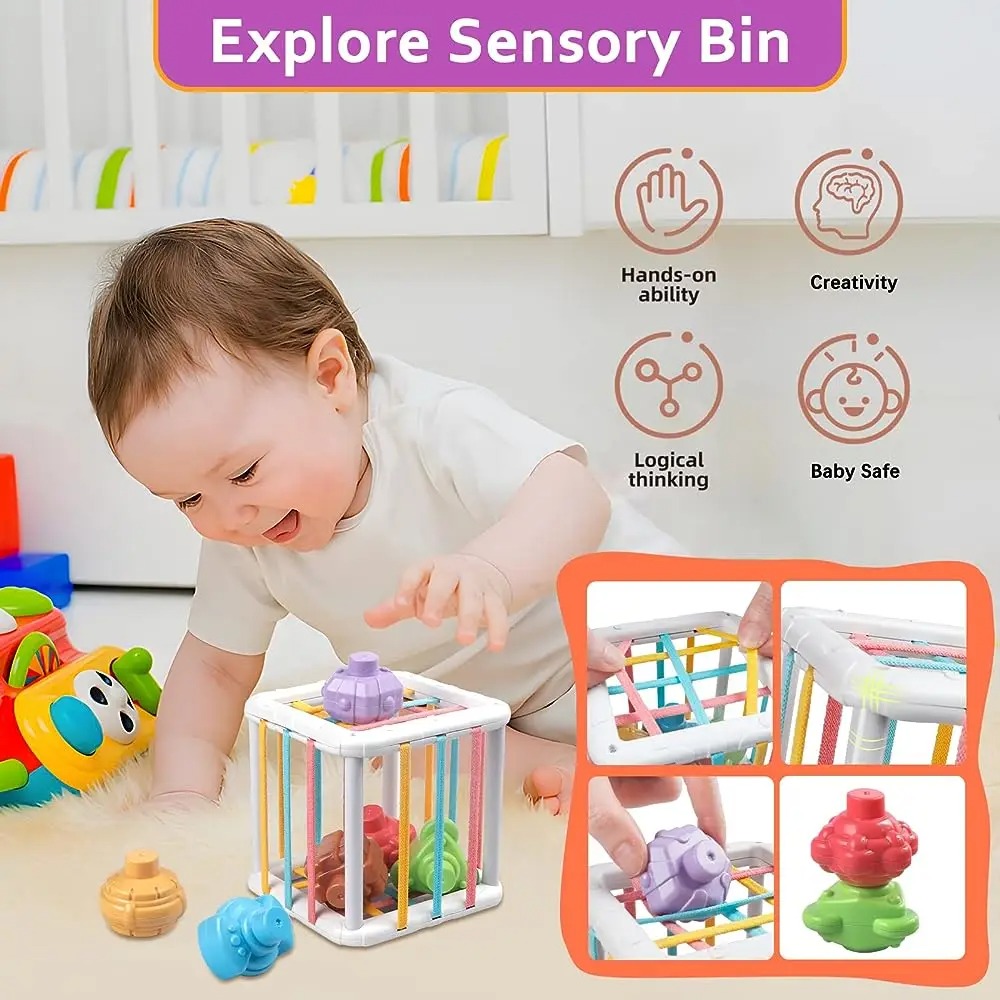 Rainbow Colorful Montessori Sh - Kids Education Learning 评论和价格