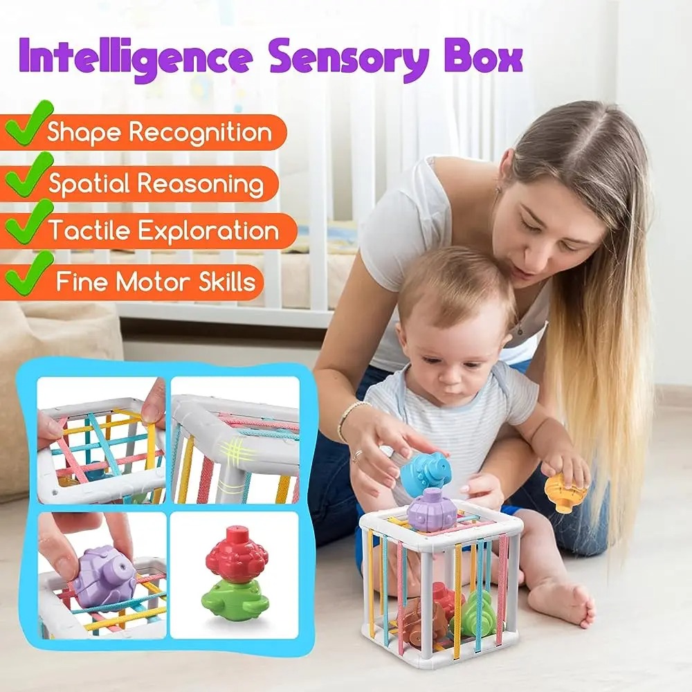 Rainbow Colorful Montessori Sh - Kids Education Learning 评论和价格