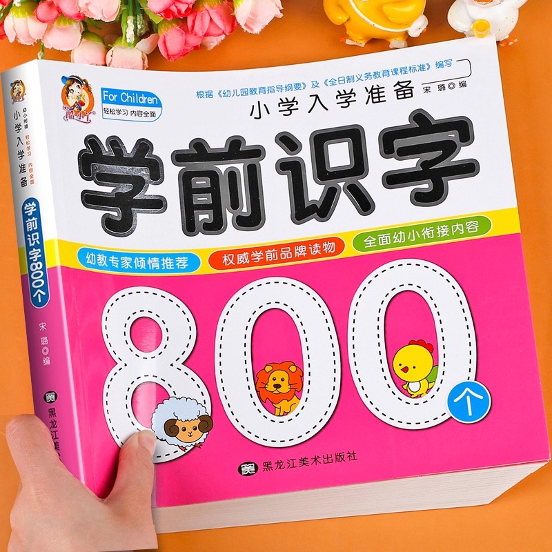 Preschool Literacy: 800 Chines - Kids Education Learning 评论和价格