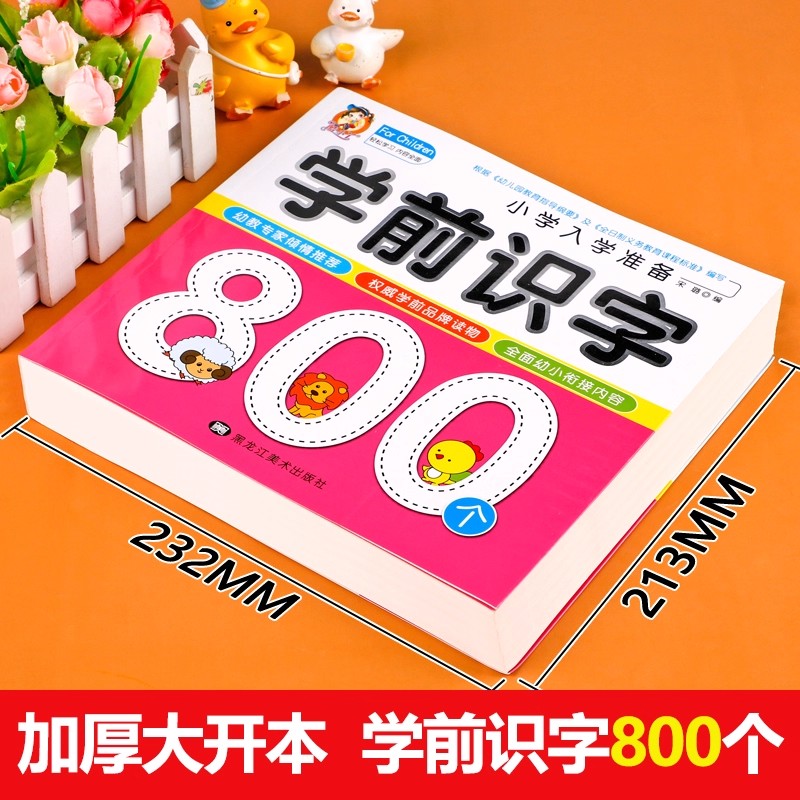 Preschool Literacy: 800 Chines - Kids Education Learning 评论和价格